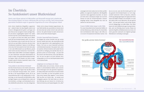 Produktbild: Die Ern&auml;hrungs-Docs &ndash; Starkes Herz