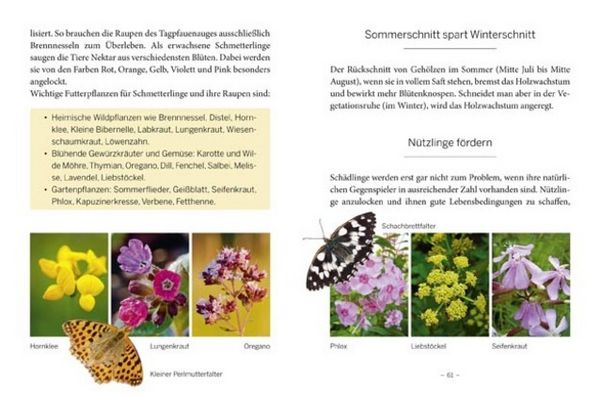 Produktbild: Das gro&szlig;e kleine Buch: Mein Garten im Sommer