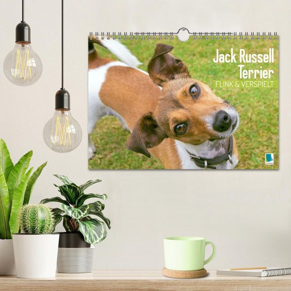 Produktbild: Jack Russell Terrier: flink und verspielt (Wandkalender 2026 DIN A4 quer), CALVENDO Monatskalender