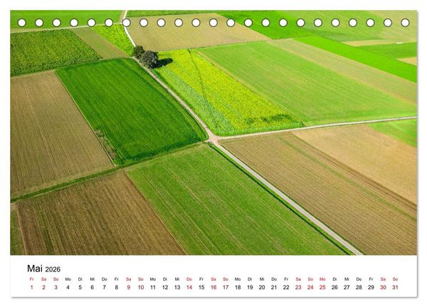 Produktbild: B&auml;ume - Wunder der Natur (Tischkalender 2026 DIN A5 quer), CALVENDO Monatskalender