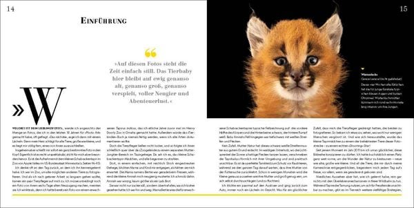 Produktbild: Tierkinder