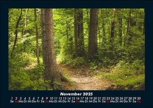 Produktbild: Waldzauber 2025 Fotokalender DIN A5