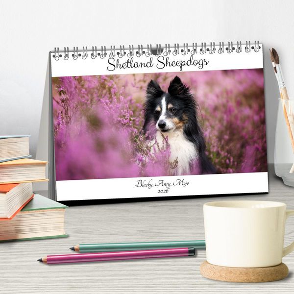 Produktbild: Shetland Sheepdogs Blacky, Anry, Mojo 2026 (Tischkalender 2026 DIN A5 quer), CALVENDO Monatskalender