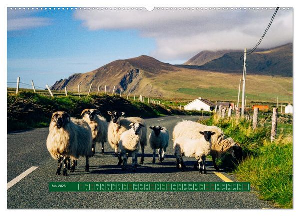 Produktbild: Wir sehen uns in Irland - Ring of Beara und Ring of Kerry (Wandkalender 2026 DIN A2 quer), CALVENDO Monatskalender