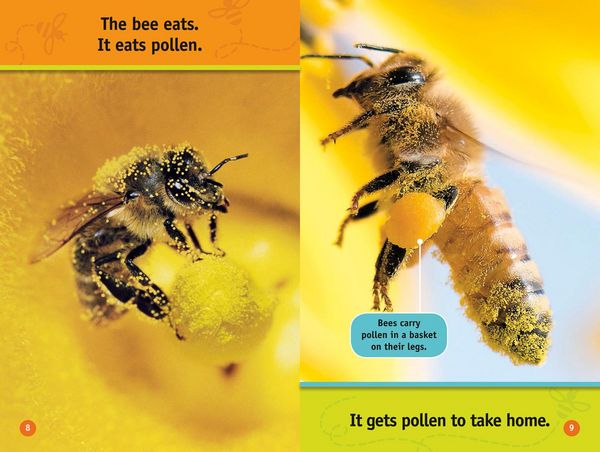 Produktbild: Buzz, Bee!