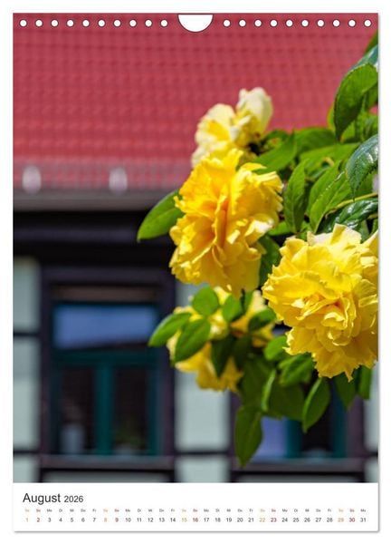 Produktbild: Die Stadt Sangerhausen (Wandkalender 2026 DIN A4 hoch), CALVENDO Monatskalender