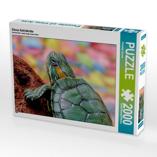CALVENDO Puzzle Kleine Schildkröte | 2000 Teile Lege-Größe 90x67cm Foto-Puzzle für glückliche Stunden