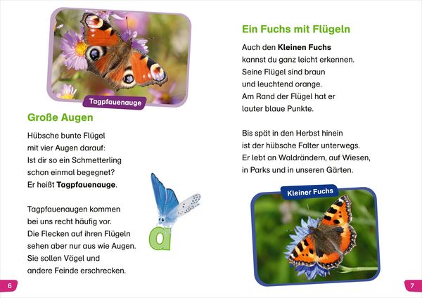 Produktbild: WAS IST WAS Erstes Lesen easy! Unsere Schmetterlinge