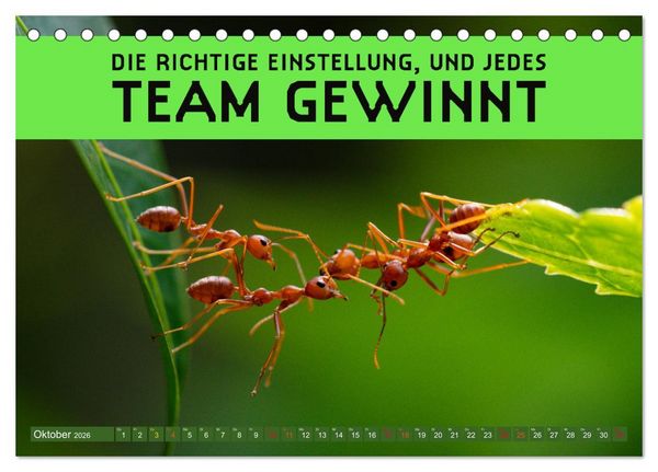 Produktbild: Gemeinsam sind wir stark - motivierende Spr&uuml;che &uuml;ber Teams (Tischkalender 2026 DIN A5 quer), CALVENDO Monatskalender
