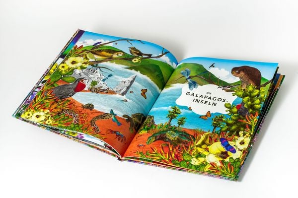 Produktbild: Die unglaubliche Safari