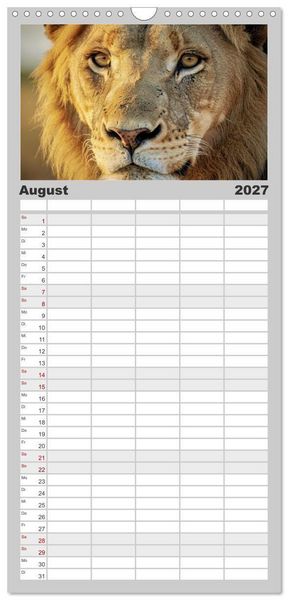 Produktbild: Familienplaner 2027 - Die Augen der Wildnis mit 5 Spalten (Wandkalender, 21 x 45 cm) CALVENDO