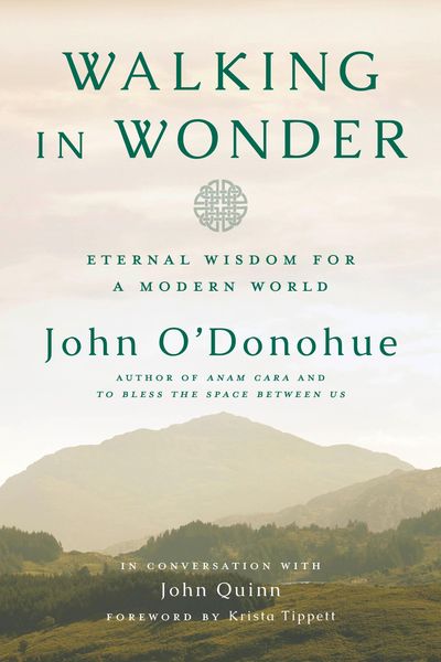 Produktbild: Walking in Wonder