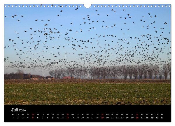 Produktbild: Schrei der Wildg&auml;nse (Wandkalender 2026 DIN A3 quer), CALVENDO Monatskalender