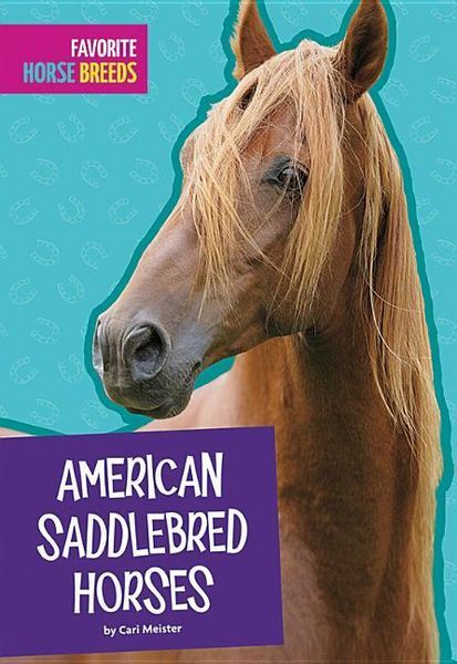 Produktbild: American Saddlebred Horses