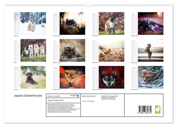 Produktbild: Japans Seelenhunde (Wandkalender 2026 DIN A2 quer), CALVENDO Monatskalender