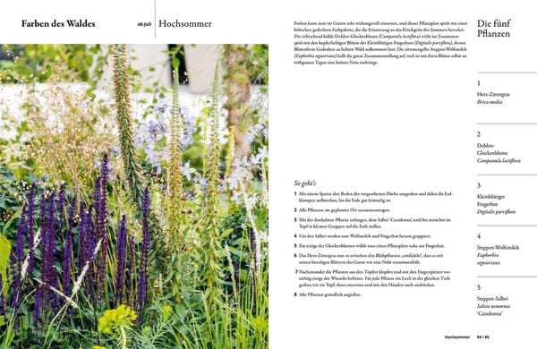Produktbild: Einfach gestalten mit 5 Pflanzen