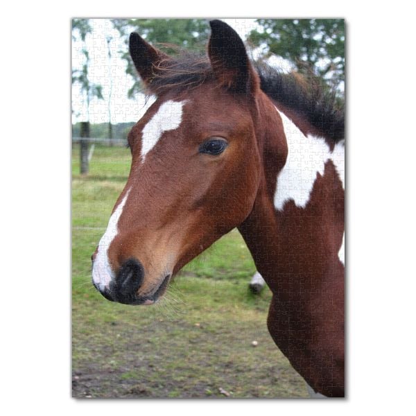 Produktbild: Lais Puzzle Pferd 1000 Teile