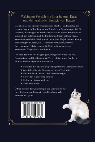Produktbild: Katzenmagie