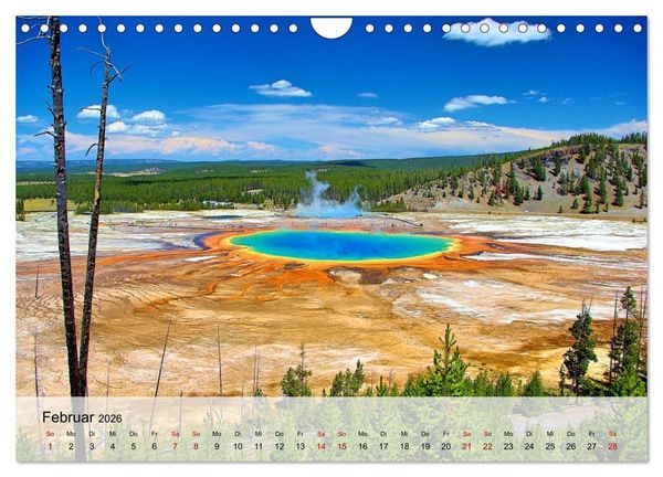 Produktbild: Magische Wunderwelten der Natur (Wandkalender 2026 DIN A4 quer), CALVENDO Monatskalender