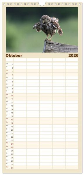 Produktbild: Familienplaner 2026 - Faszination Steinkauz mit 5 Spalten (Wandkalender, 21 x 45 cm) CALVENDO