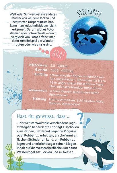 Produktbild: Die 100 sch&ouml;nsten Tiere der Welt