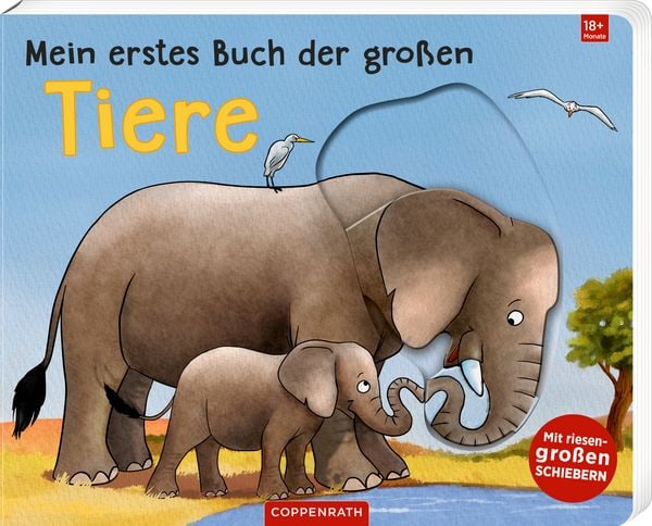 Mein erstes Buch der großen Tiere, Gebundene Ausgabe von Sandra Grimm, Coppenrath, 978-3-649-65199-4