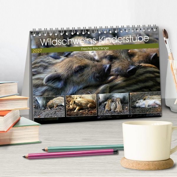 Produktbild: Wildschweins Kinderstube - Freche Frischlinge (Tischkalender 2027 DIN A5 quer), CALVENDO Monatskalender