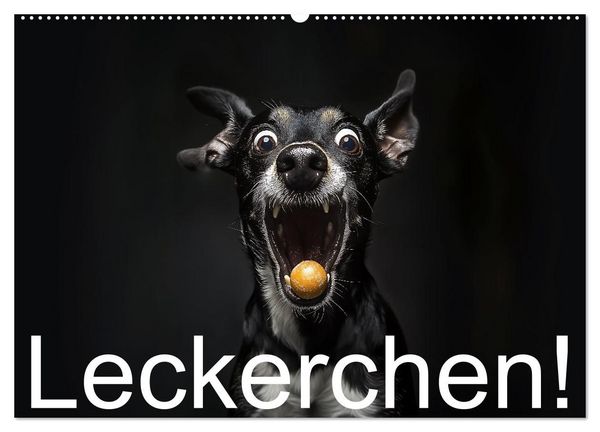 Produktbild: Leckerchen! (Wandkalender 2027 DIN A2 quer), CALVENDO Monatskalender