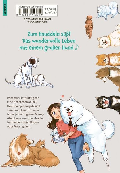 Produktbild: One Room Dog 1