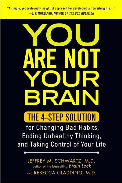 Produktbild: You Are Not Your Brain