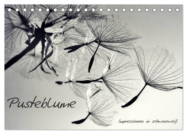 Produktbild: Pusteblume - Impressionen in schwarzwei&szlig; (Tischkalender 2026 DIN A5 quer), CALVENDO Monatskalender
