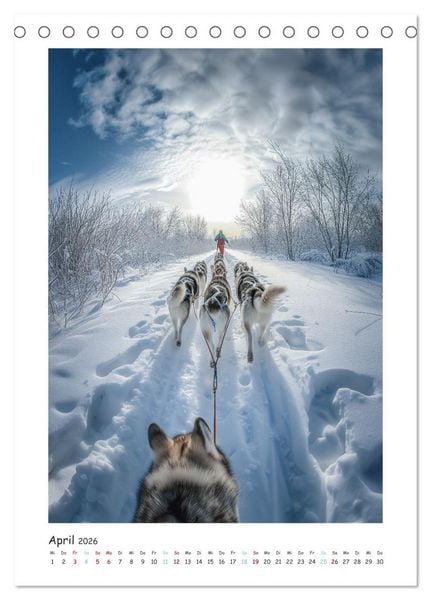 Produktbild: Schlittenhunderennen (Tischkalender 2026 DIN A5 hoch), CALVENDO Monatskalender