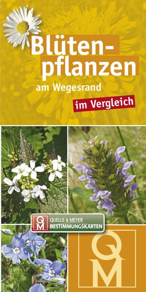 Produktbild: Bl&uuml;tenpflanzen am Wegesrand