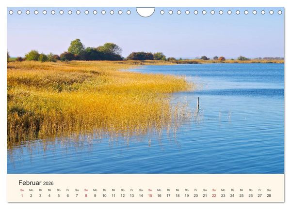Produktbild: Ummanz - Naturparadies in der R&uuml;gener Boddenlandschaft (Wandkalender 2026 DIN A4 quer), CALVENDO Monatskalender