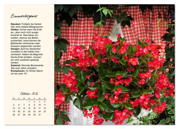 Produktbild: Bl&uuml;tenpracht am Fenster (Wandkalender 2026 DIN A3 quer), CALVENDO Monatskalender