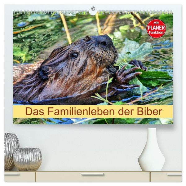 Produktbild: Das Familienleben der Biber (hochwertiger Premium Wandkalender 2026 DIN A2 quer), Kunstdruck in Hochglanz