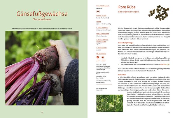 Produktbild: Handbuch Sameng&auml;rtnerei