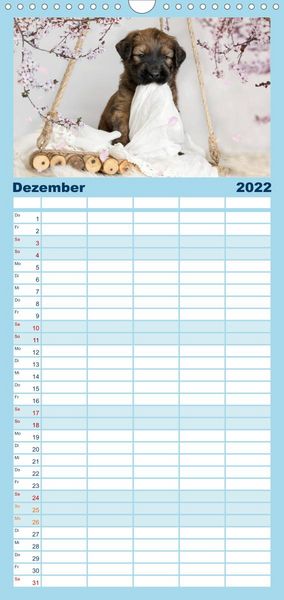 Produktbild: Briardbabys in ihren ersten Wochen - Familienplaner hoch (Wandkalender 2022 , 21 cm x 45 cm, hoch)