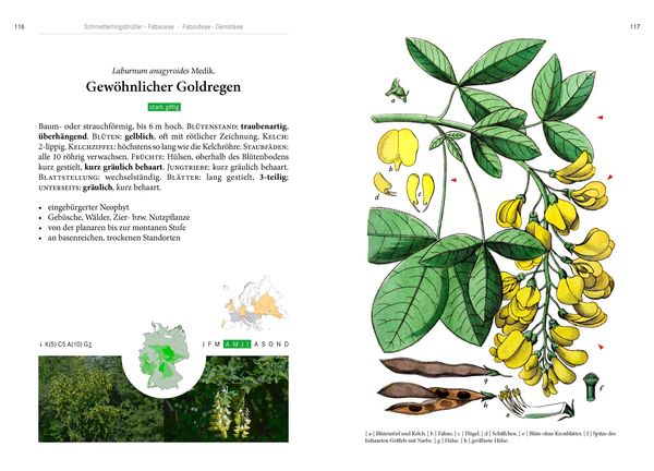 Produktbild: B&auml;ume
