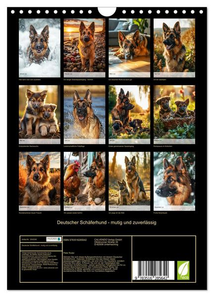 Produktbild: Deutscher Sch&auml;ferhund - mutig und zuverl&auml;ssig (Wandkalender 2026 DIN A4 hoch), CALVENDO Monatskalender