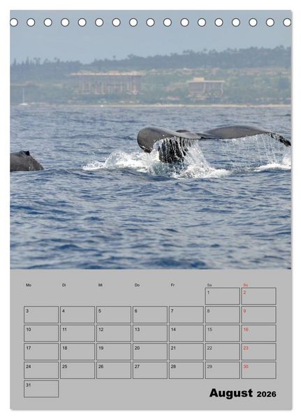 Produktbild: Hawaii - Land of Aloha (Tischkalender 2026 DIN A5 hoch), CALVENDO Monatskalender