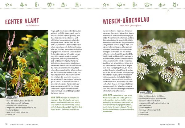 Produktbild: Richtig gute Pflanzen für Insekten