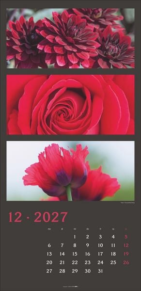 Produktbild: Die Farben der Natur Kalender 2027