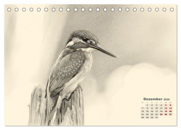 Produktbild: Wilde Seelen - Tierische Momente in Graphit (Tischkalender 2026 DIN A5 quer), CALVENDO Monatskalender
