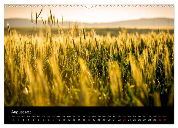 Produktbild: Landscapes from Romania (Wall Calendar 2026 DIN A3 landscape), CALVENDO 12 Month Wall Calendar