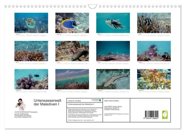 Produktbild: Unterwasserwelt der Malediven I (Wandkalender 2026 DIN A3 quer), CALVENDO Monatskalender