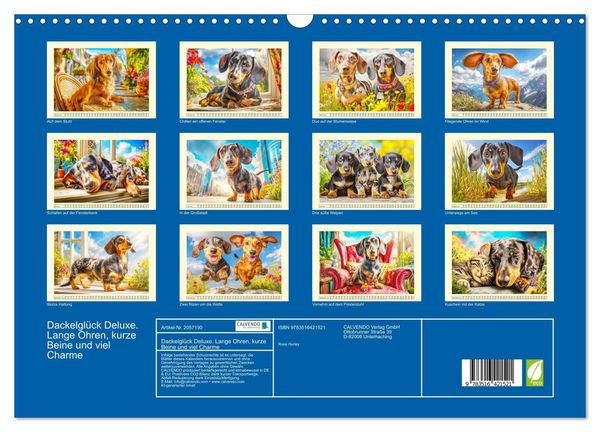 Produktbild: Dackelgl&uuml;ck Deluxe. Lange Ohren, kurze Beine und viel Charme (Wandkalender 2026 DIN A3 quer), CALVENDO Monatskalender