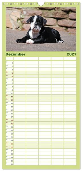 Produktbild: Familienplaner 2027 - Bulldoggen-Kinder mit 5 Spalten (Wandkalender, 21 x 45 cm) CALVENDO