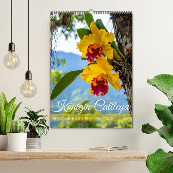Produktbild: K&ouml;nigin Cattleya (Wandkalender 2027 DIN A2 hoch), CALVENDO Monatskalender