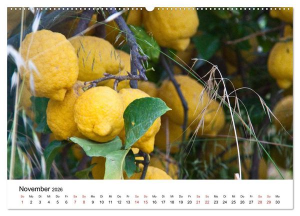 Produktbild: Auf den Liparischen Inseln (hochwertiger Premium Wandkalender 2026 DIN A2 quer), Kunstdruck in Hochglanz